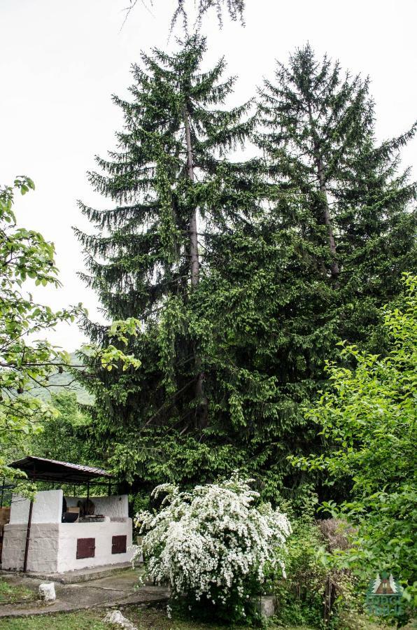 Lodge Zbilje Visoko, Bosnian Pyramids Kültér fotó